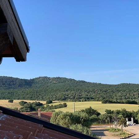 Il Poggio Di Musignano Villa Musignano  Bagian luar foto