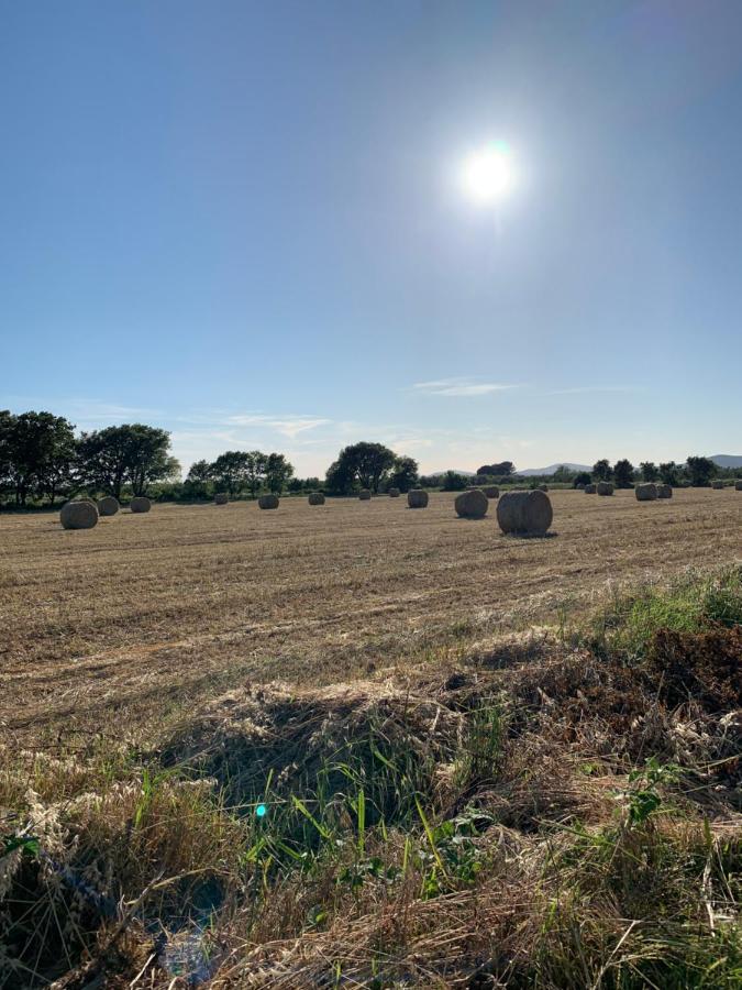 Il Poggio Di Musignano Villa Musignano  Bagian luar foto