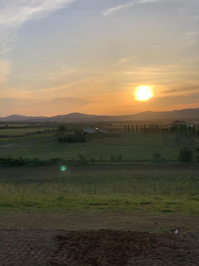Il Poggio Di Musignano Villa Musignano  Bagian luar foto