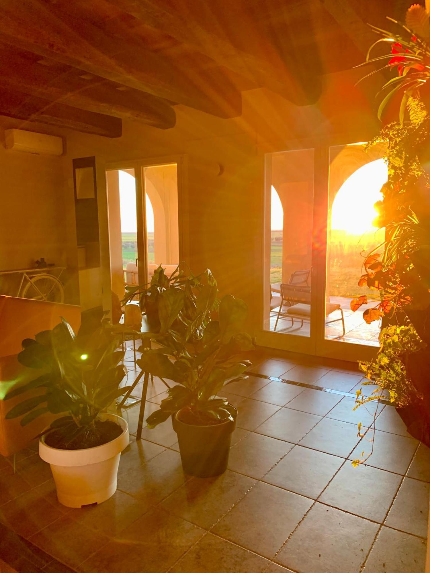 Il Poggio Di Musignano Villa Musignano  Bagian luar foto