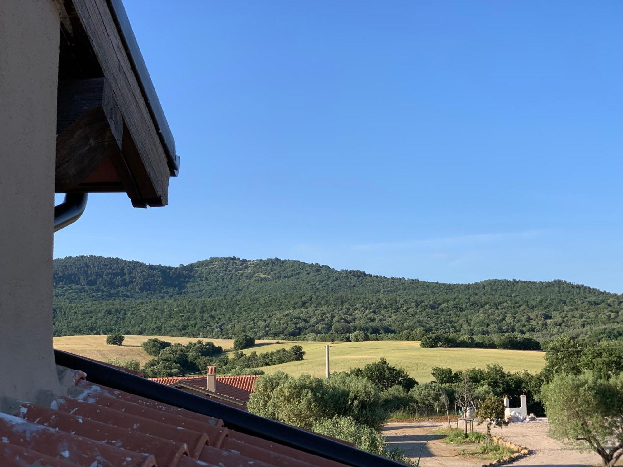 Il Poggio Di Musignano Villa Musignano  Bagian luar foto